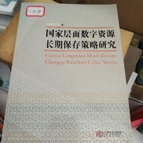 国家层面数字资源长期保存策略研究