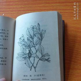 **语录版 江苏省验方草药选编 江苏各个地方老中医草医实用献方 内容丰富，实用性强 厚本372页，带毛主席林彪题词，正版珍本品相完好干净无涂画