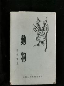 1955年老明信片画片：动物彩色画片 1套12张全 1版1印