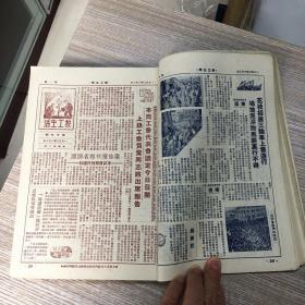 1950年7月19曰上海市人民政府税务局出版 税务通讯副刊《税工生活》第1期一73期 内有图片