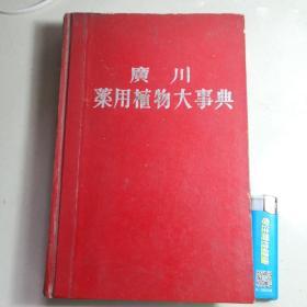 广川药用植物大事典（日文原版）