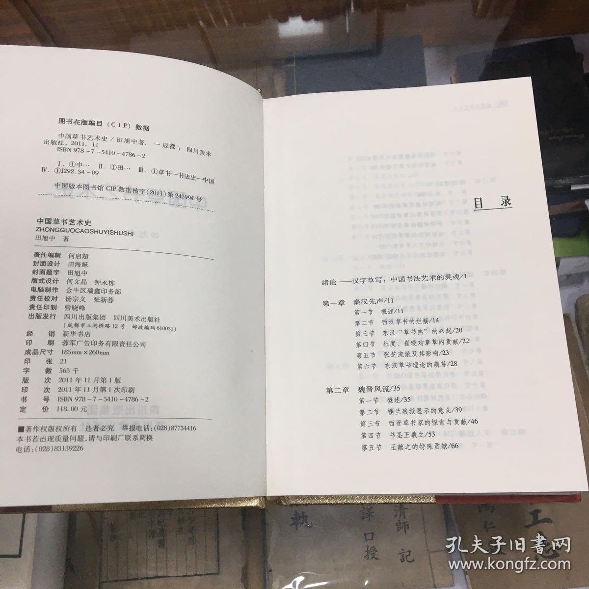 中国草书艺术史（16开  精装  1版1印  品好  原价118元   本书全面叙述了汉字发生草写演变的历史过程，以及在一过程中有代表性的历代草书家。内容图文并茂，论据真实，论证充分，是一部具有独创性的艺术专史。）