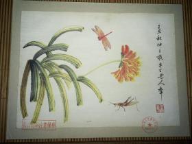 手绘草虫精品国画一张（手绘老画）.