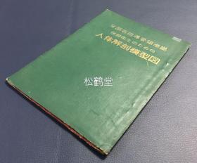 《人体解剖模型图》1册全，和本，昭和32年，1957年版，内含彩色印刷《人体解剖模型》1件，双面印刷，6种人体解剖图，及《人体解剖图解说》1册，制作及印刷均精美，难得人体解剖学资料。