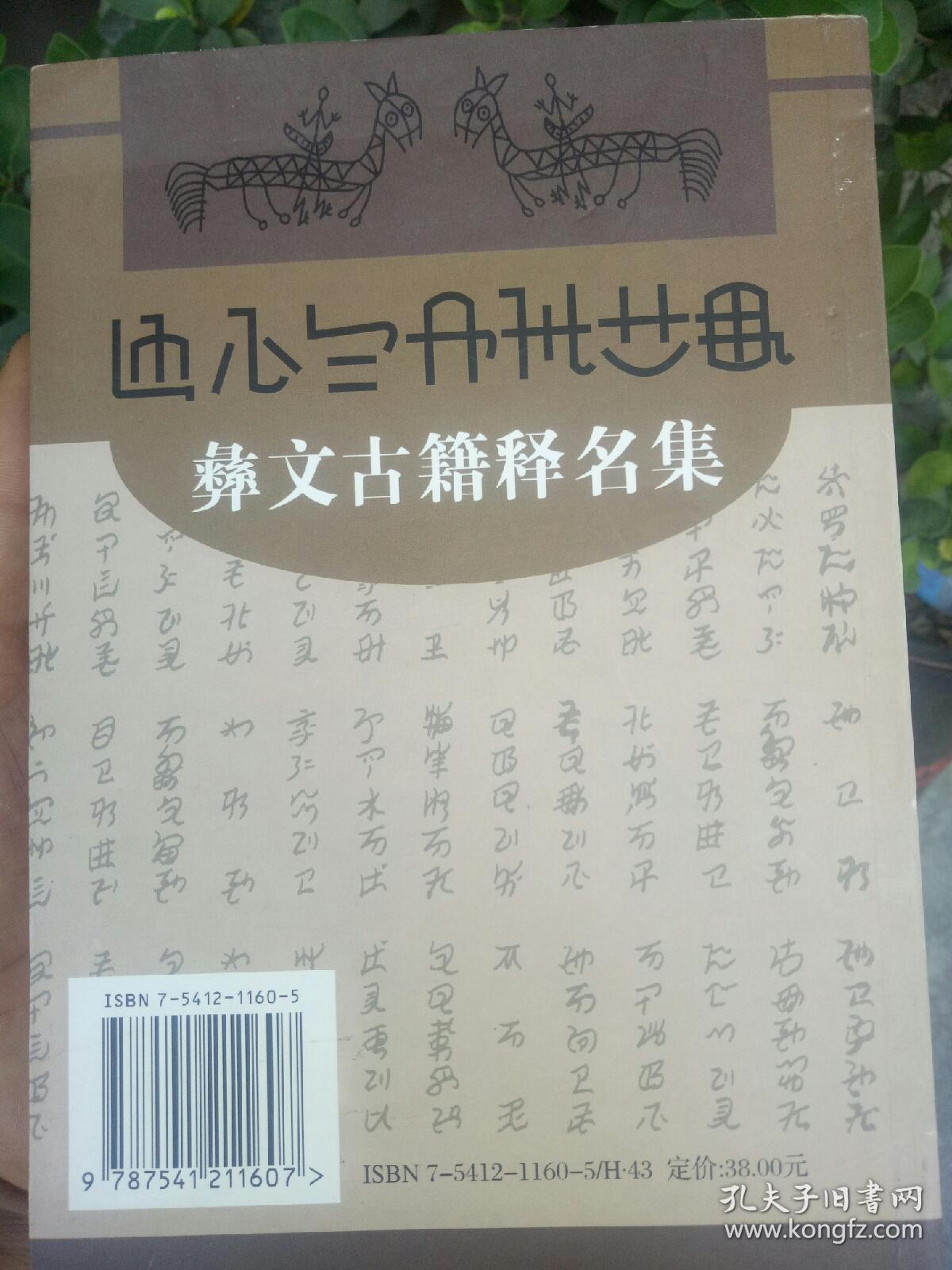 彝文古籍释名集——2号架