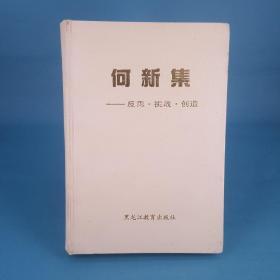 何新集:反思、挑战、创造