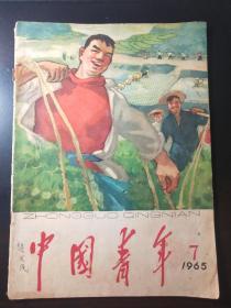 中国青年1965年第7期