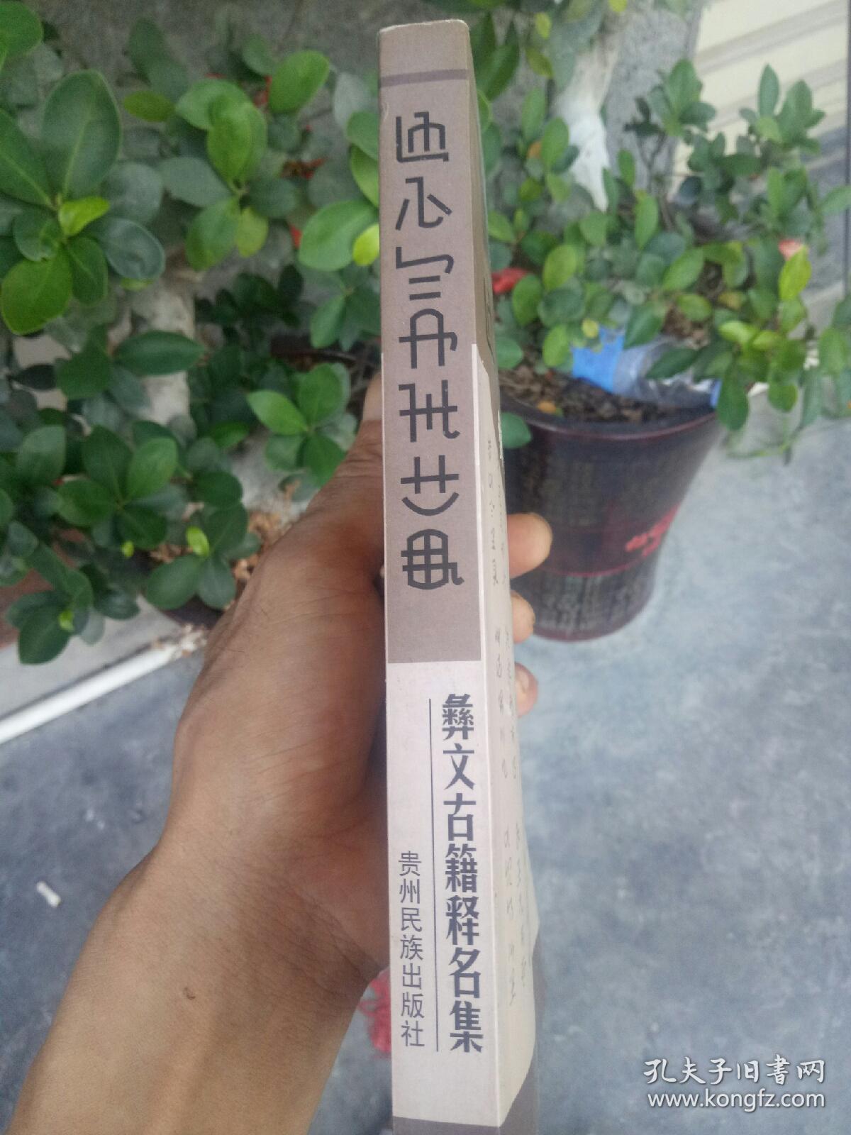 彝文古籍释名集——2号架