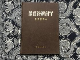 脑血管解剖学