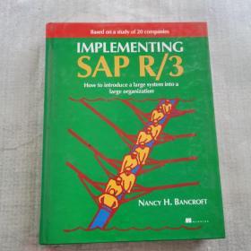 Implementing SAP R/3【英文原版】