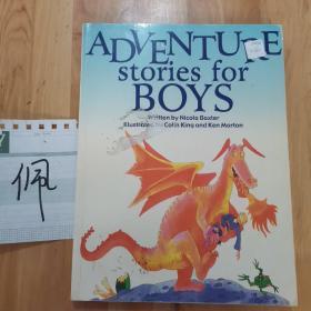 ADVENTURE STORIES FOR BOYS