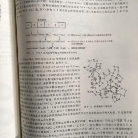 95成新 生物化学 第四版4版 上册