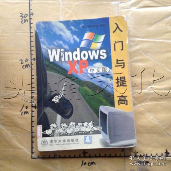 WindowsXP入门与提高(中文版)