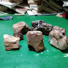 肉石，观赏石六块，大小不一，70－600克