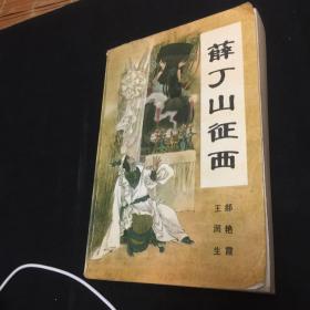 薛丁山征西:新篇传统长篇评书