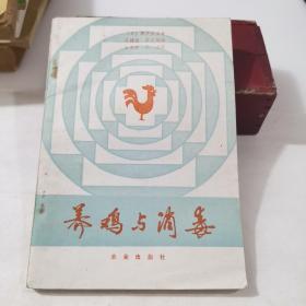 养鸡与消毒