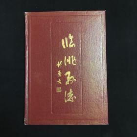 临洮县志 上册1990年版 历史文化名城 甘肃临洮 甘肃人民出版社