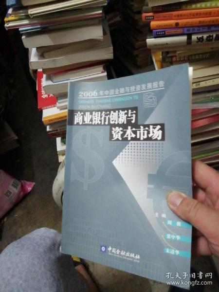 商业银行创新与资本市场：2006年中国金融与投资发展报告