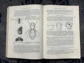 LEHRBUCH DER MEDIZINISCHEN ENTOMOLOGIE 医学昆虫学（德文原版，皮面精装 道林纸印刷，多插图）