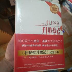 杜拉拉升职记