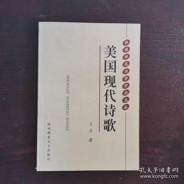 美国现代诗歌  （陕西师范大学学术文库）