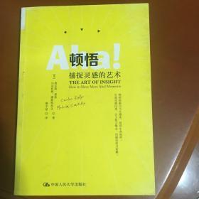 顿悟：捕捉灵感的艺术（新疆、青海、西藏不发）