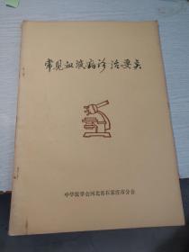 常见血液病诊治要点【迂俊清 等 梁晋全 审阅 1982年版 16开】