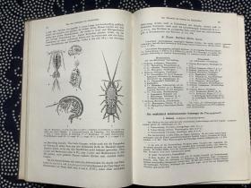 LEHRBUCH DER MEDIZINISCHEN ENTOMOLOGIE 医学昆虫学（德文原版，皮面精装 道林纸印刷，多插图）