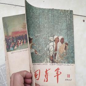 中国青年1963年18期