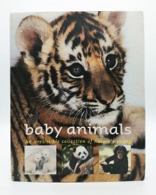 Baby Animals: An Irresistible Collection of Nature's Young 英文原版-《动物宝宝：大自然不可抗拒的收藏》