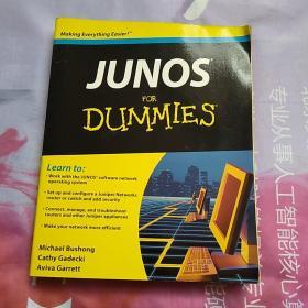 原版:JUNOS FOR DUMMIES（假人用朱诺）