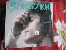 DAVID  SANBORN       LP  12寸  黑胶