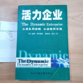 活力企业：从混乱到战略，从战略到实施