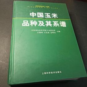 中国玉米品种及其系谱