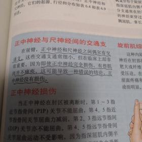 临床应用解剖学