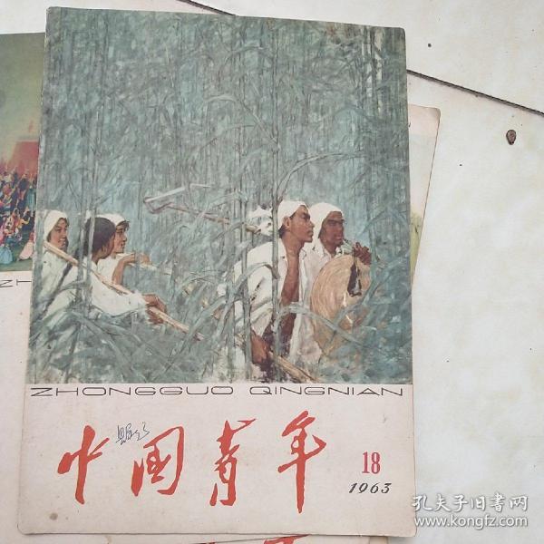 中国青年1963年18期