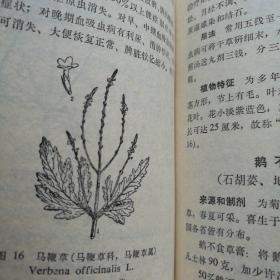 药物治疗手册