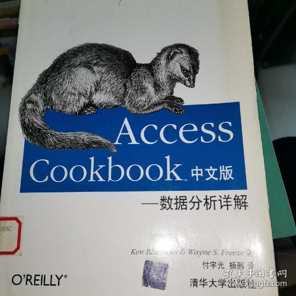 Access Cookbook中文版：数据分析详解