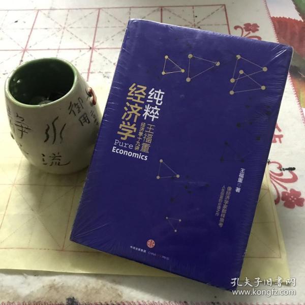 纯粹经济学：王福重经济学十九讲