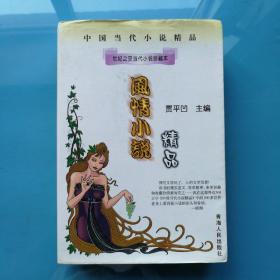 中国当代小说精品  风情小说精品