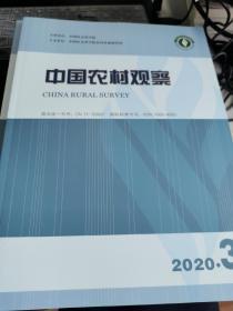 中国农村观察2020年第3期