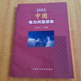2002：中国电力问题报告