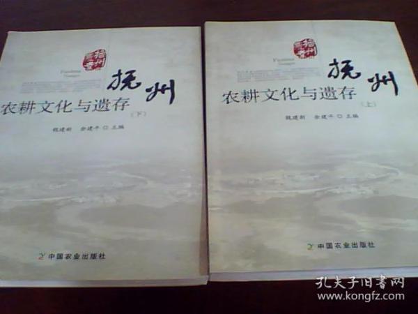 抚州农耕文化与遗存 上下册合售