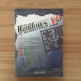 中文版Windows XP实用宝典