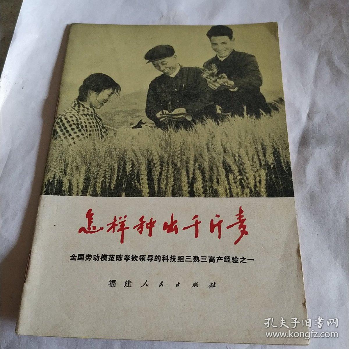 怎样种出千斤麦，一版一印