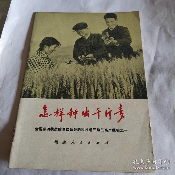 怎样种出千斤麦，一版一印