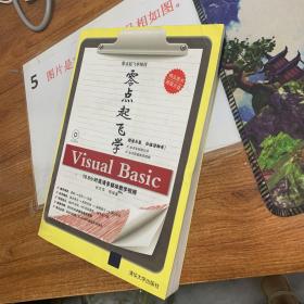 零点起飞学编程：零点起飞学Visual Basic