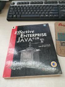 Effective Enterprise Java中文版