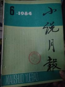 小说月报1984年第6期