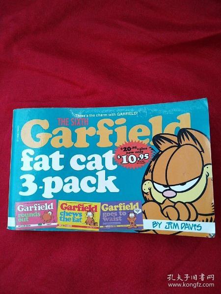 Garfield Fat Cat Three Pack Volume #6 加菲猫